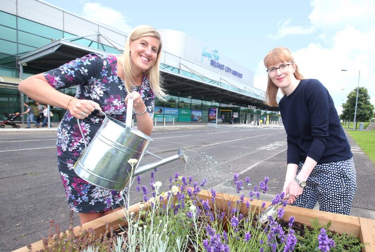 Belfast Harbour Blossoms for Summer