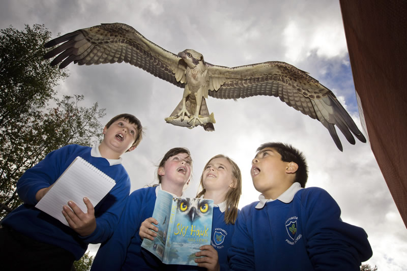 Skyhawk Swoops into Belfast